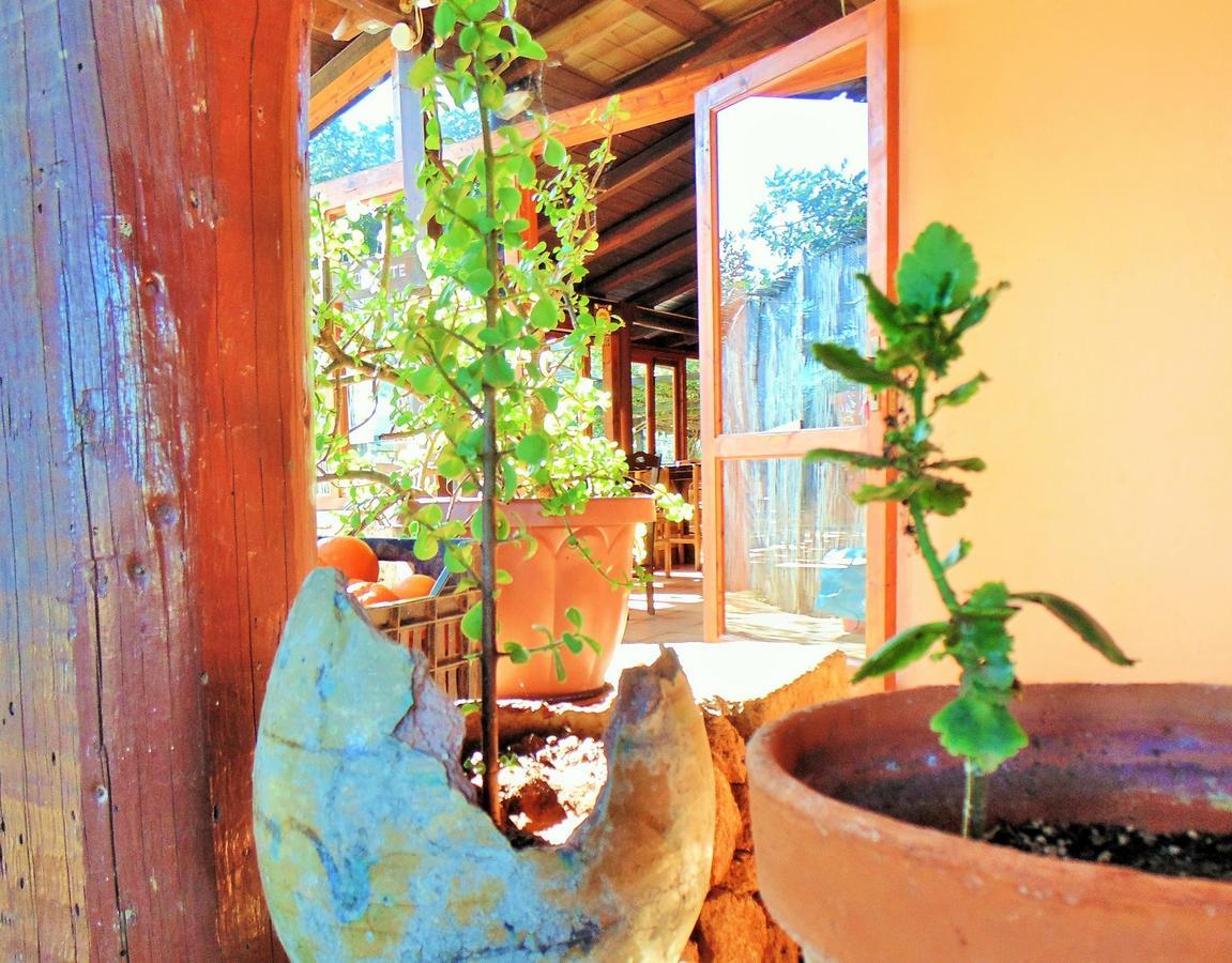 ホテルAgriturismo Calamosche ノート エクステリア 写真